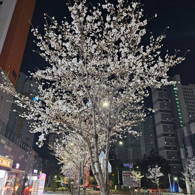 작은소망