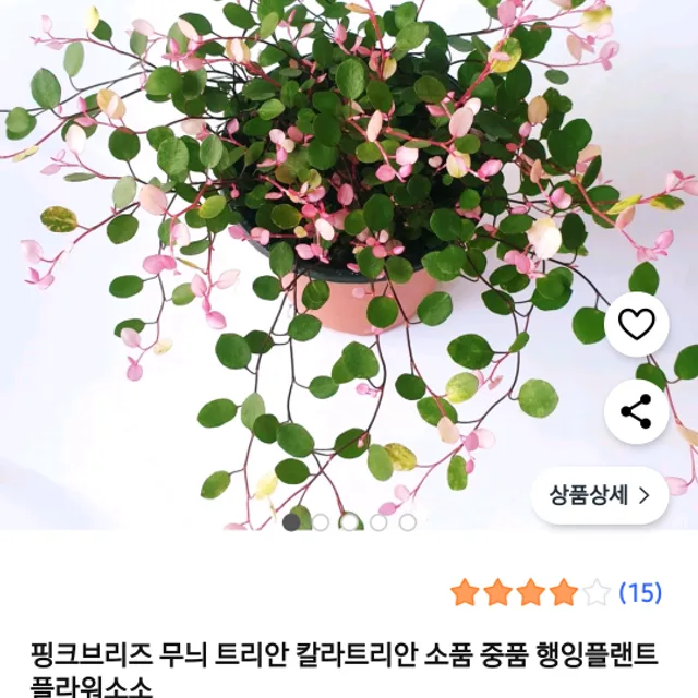 희희