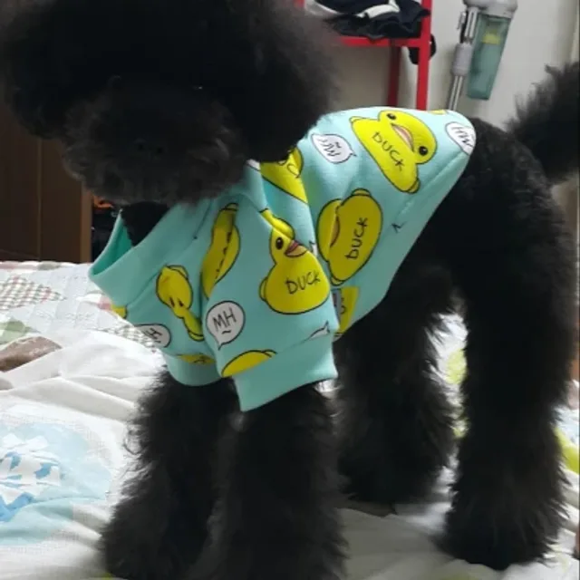 뚜뚜아빠