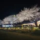 프로쓰리잡러