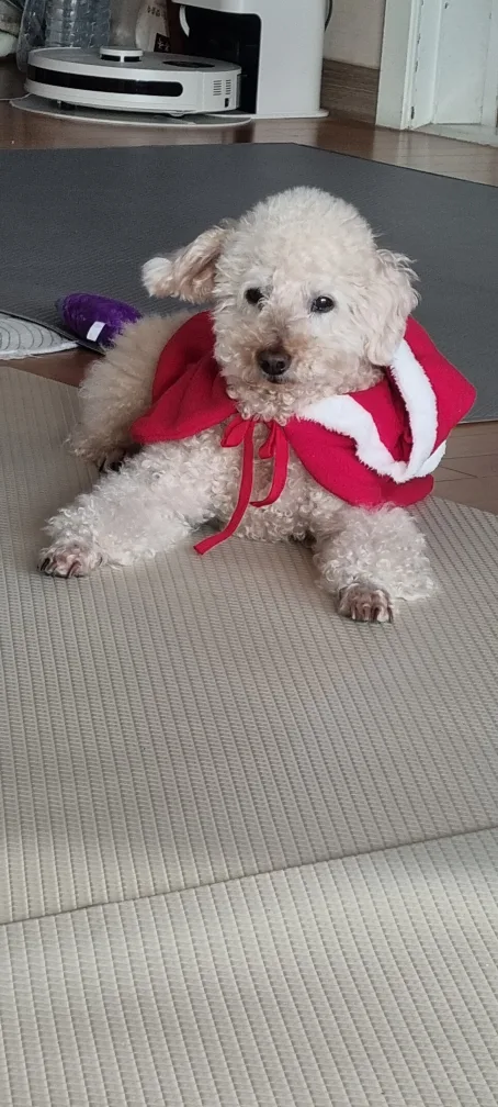 몽구맘