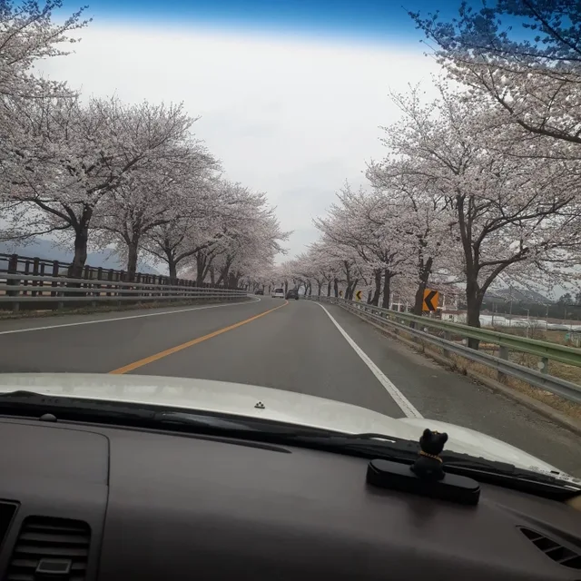 이엘