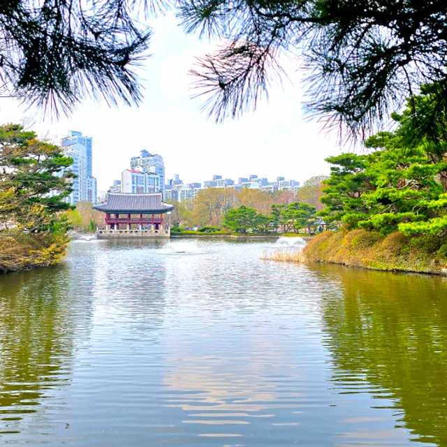 꼬맘