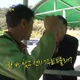 전치5주