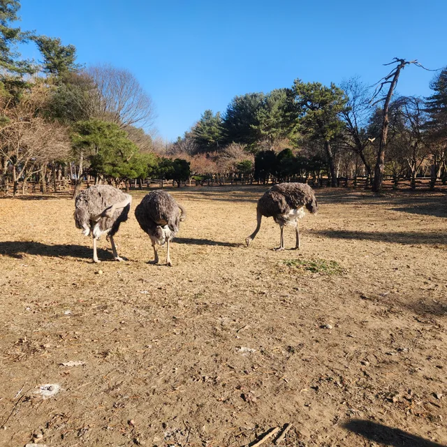 봄이