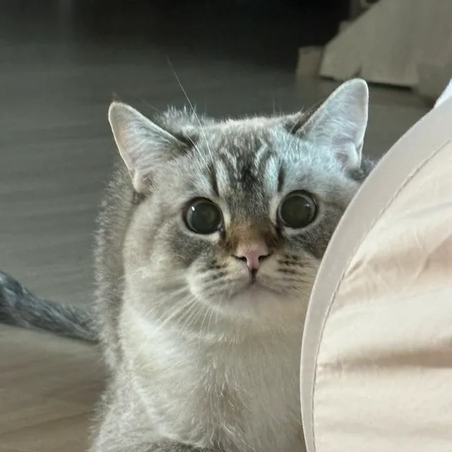 먼지