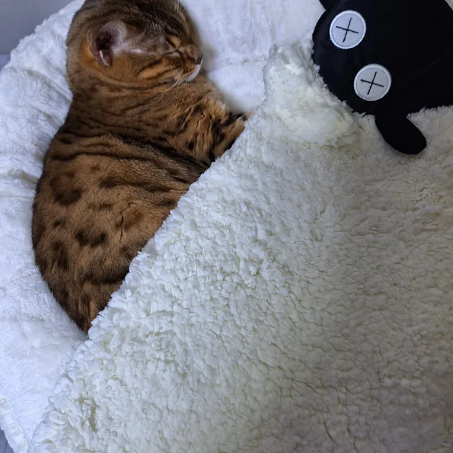 별하