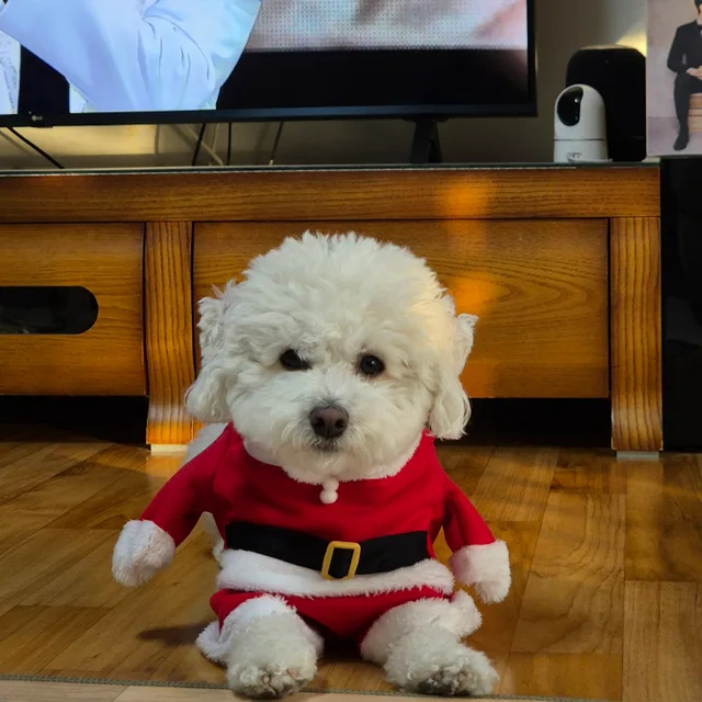 좋은하루