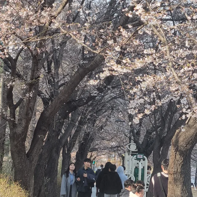 당근당근