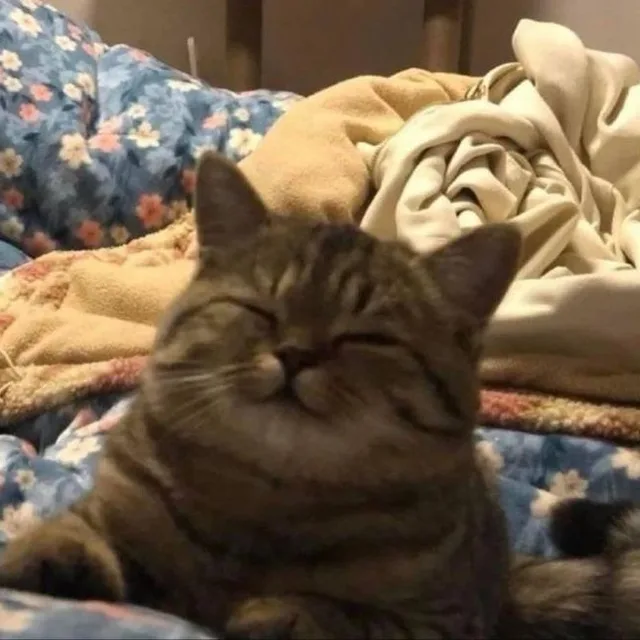 일어나일해야지
