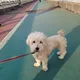 헤나맘