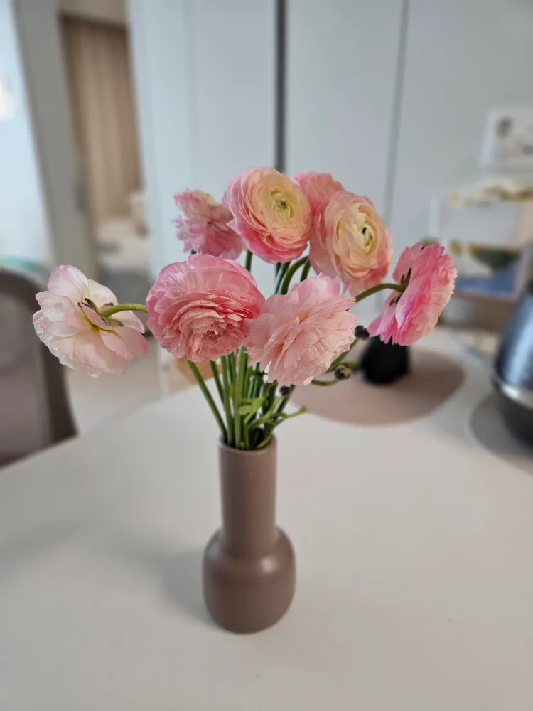 토시리