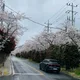 뭉치