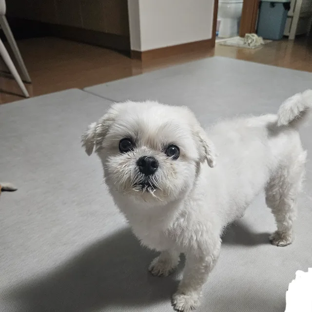 하유