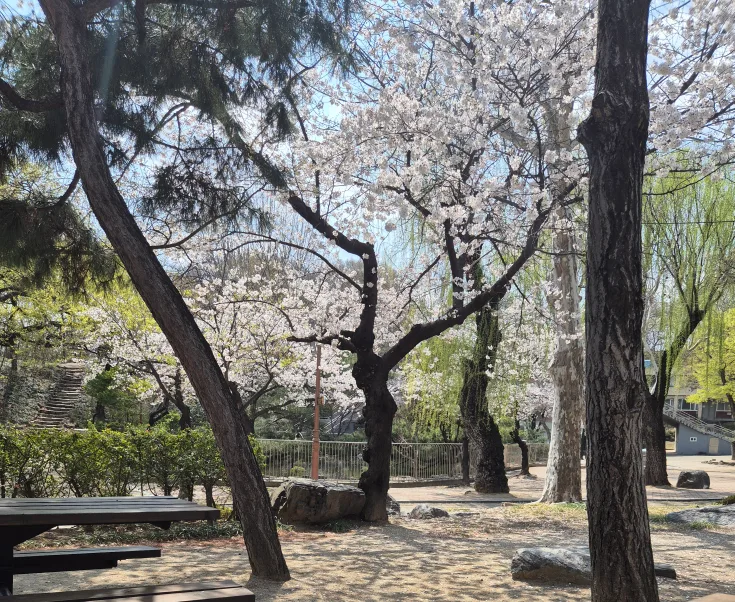 오드리맘마