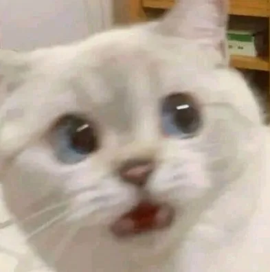 남지