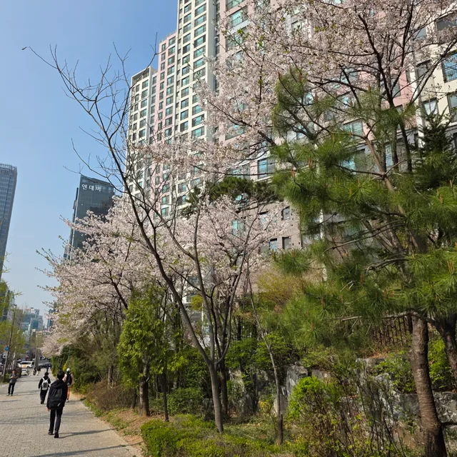 산미구엘