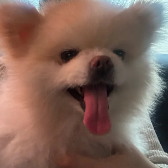 깜D