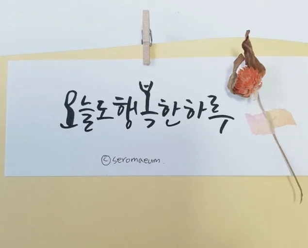 하마공주