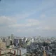 한정된우연