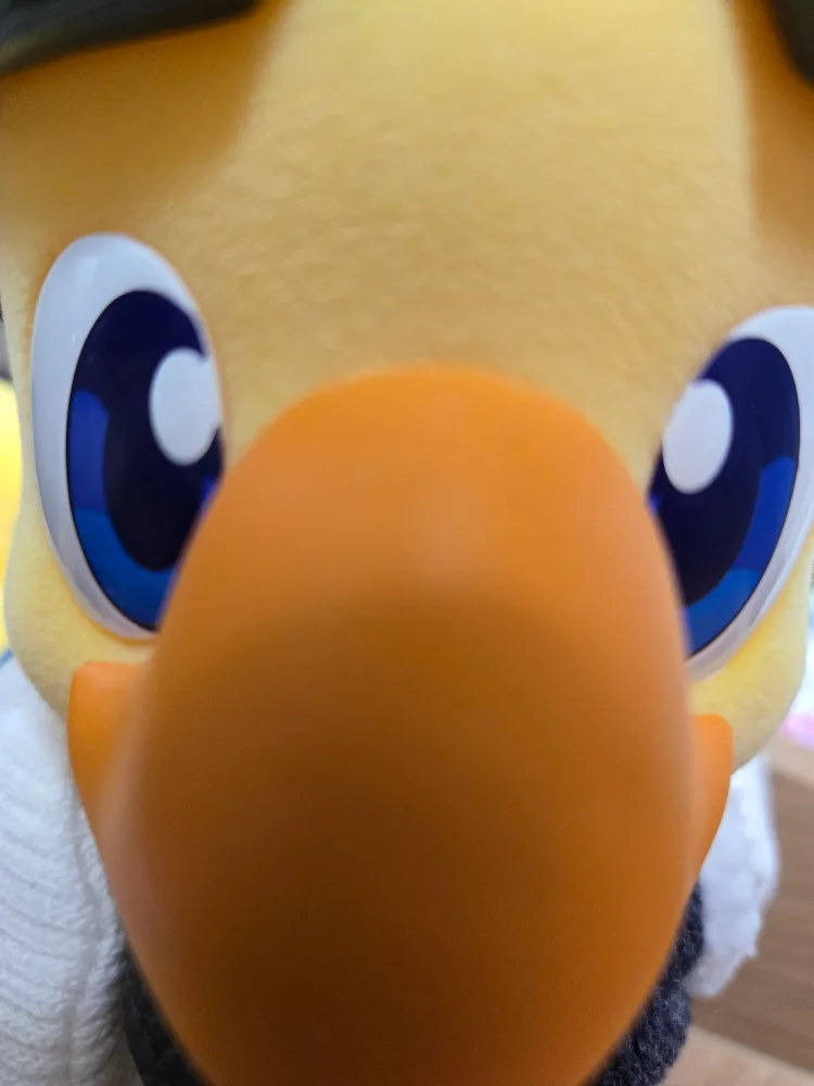 YY