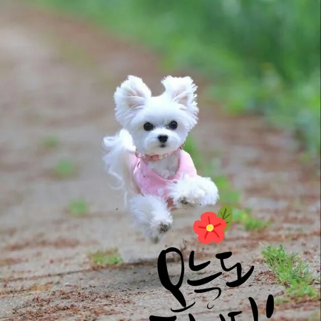 긍께로