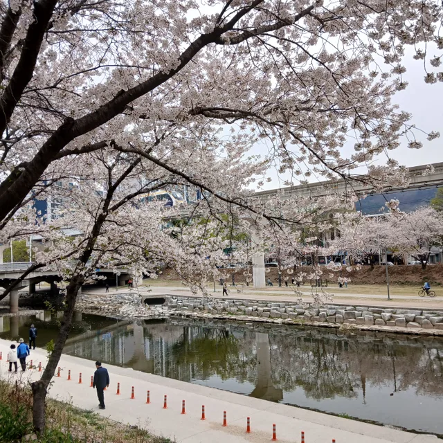 즐거운날