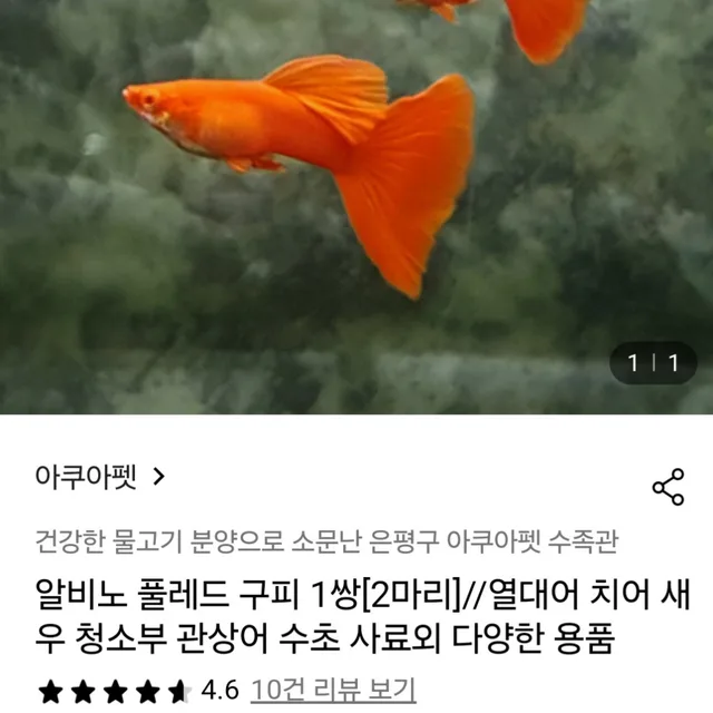 용마