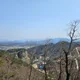 벚꽃구경