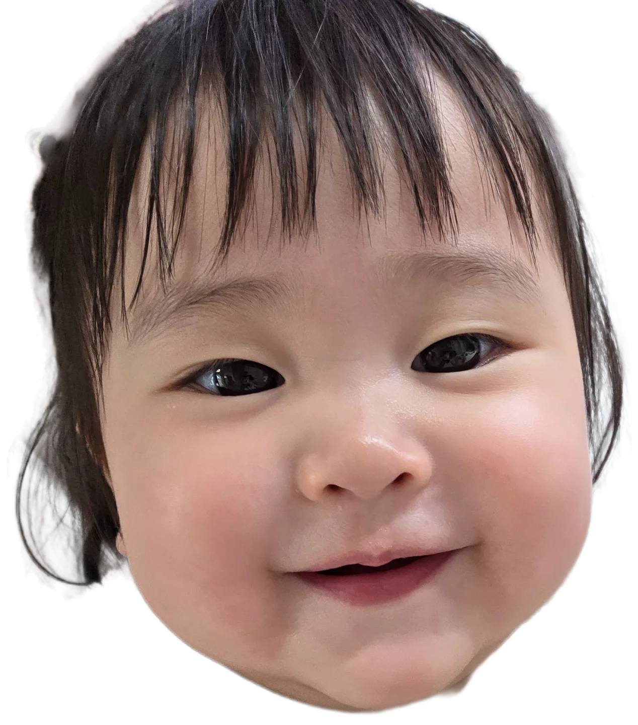 장선생