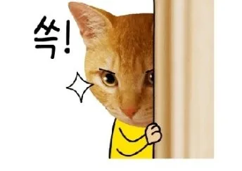 거래짱짱님