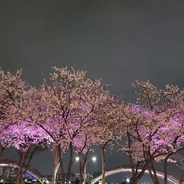 오해삐