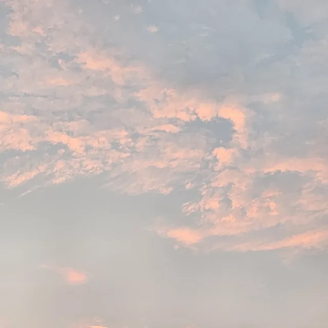 윰욤
