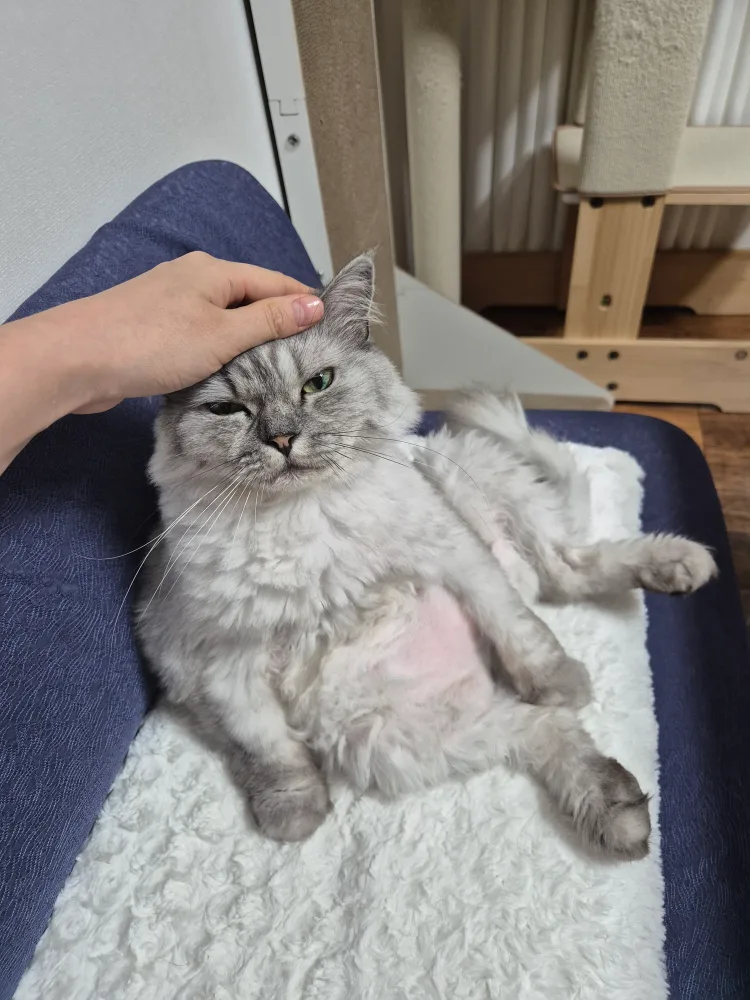 라라루