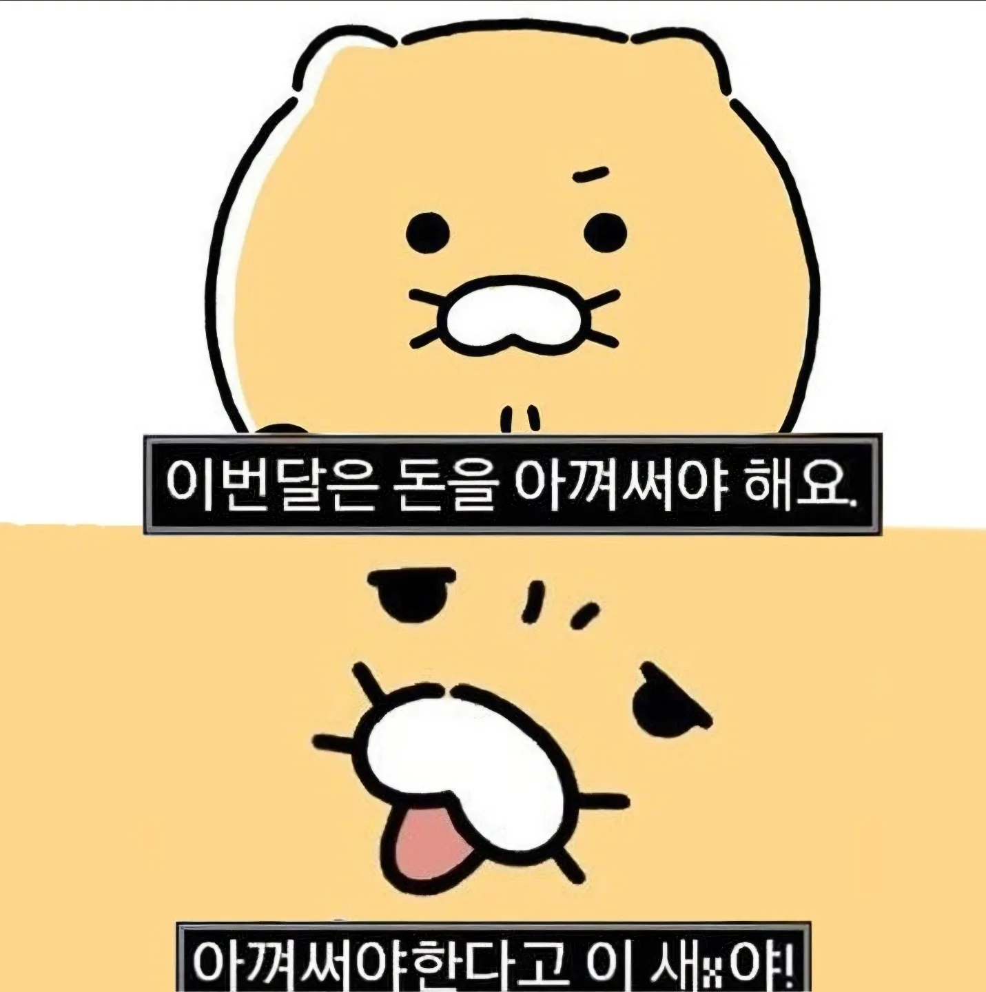 바다