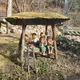 코스모스