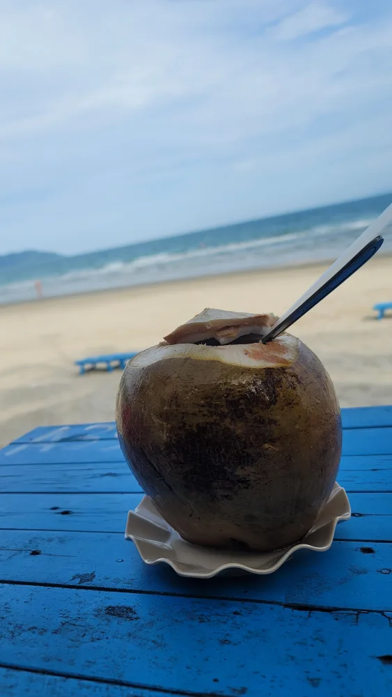 백조