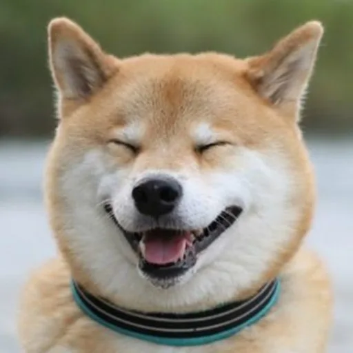 짱구