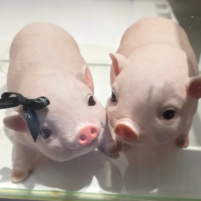 당근으로반포르쉐