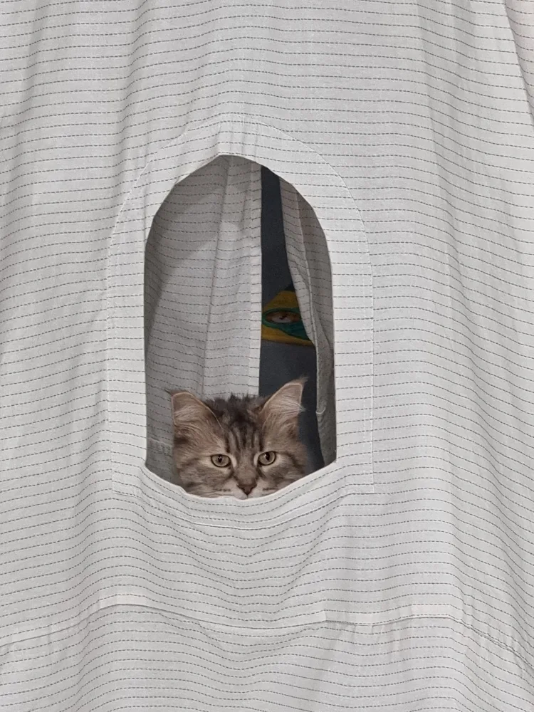 낚시초보