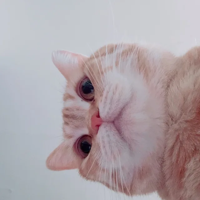 웅이맘