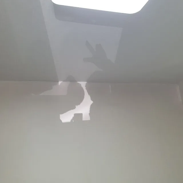모과생강