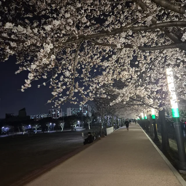 서티마두산롯데96