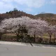 해림이