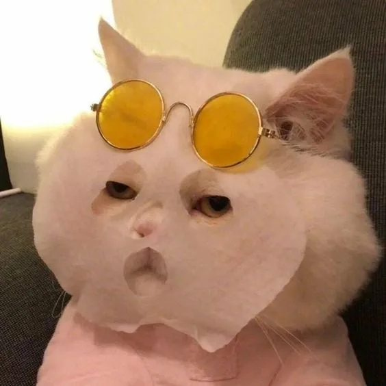 거져줄게잘사가