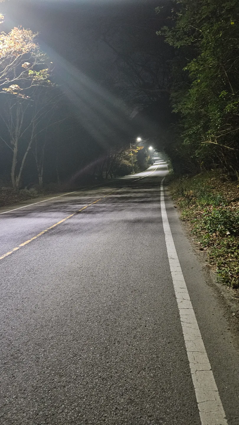 허브