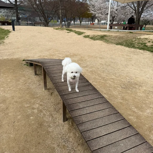 짱짱맨