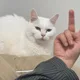 가무라