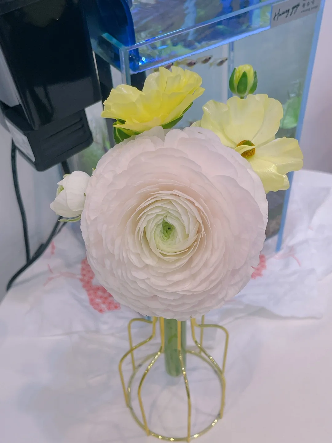 답변이늦을수있어요