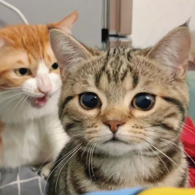퇴근